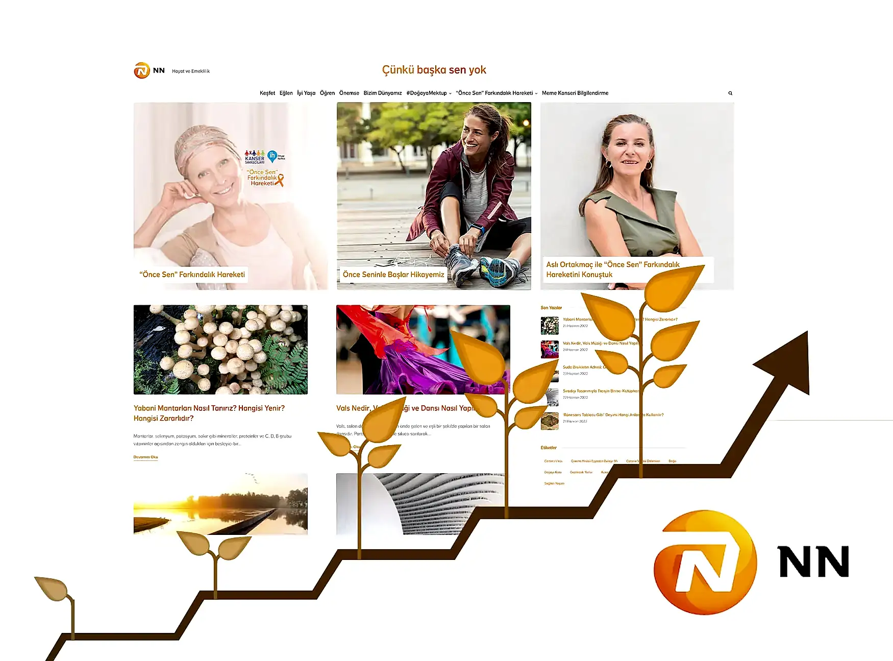 NN Hayat ve Emeklilik